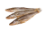 Сула (Морський в'ялений судак)